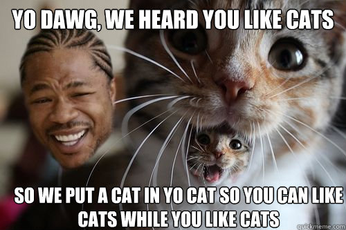 Yo dawg, we heard you like cats So we put a cat in yo cat so you can like cats while you like cats - Yo dawg, we heard you like cats So we put a cat in yo cat so you can like cats while you like cats  Yo dawg, we heard you like cats