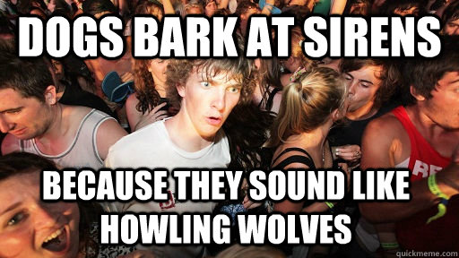Dogs bark at sirens because they sound like howling wolves  Sudden Clarity Clarence