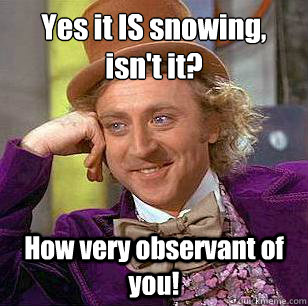 Yes it IS snowing, isn't it? How very observant of you!  Condescending Wonka