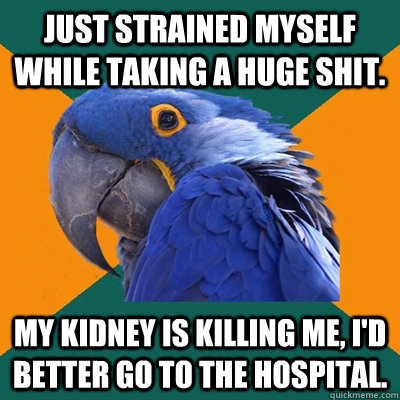 Just strained myself while taking a huge shit. My kidney is killing me, i'd better go to the hospital.  Paranoid Parrot