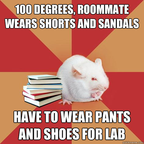 100 Degrees, Roommate wears Shorts and Sandals Have to wear pants and shoes for lab - 100 Degrees, Roommate wears Shorts and Sandals Have to wear pants and shoes for lab  Science Major Mouse