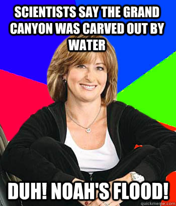Scientists say the grand canyon was carved out by water duh! Noah's flood!    Sheltering Suburban Mom
