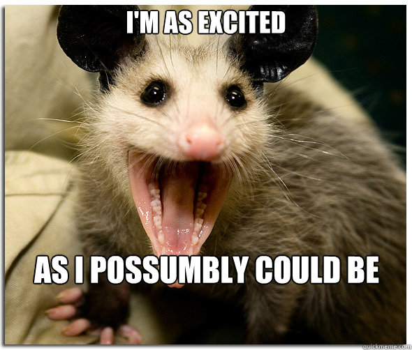 I'm as excited as I possumbly could be - I'm as excited as I possumbly could be  Over-Excited Possum