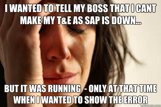 I wanted to tell my boss that I cant make my T&E as SAP is down... but it was running  - only at that time when I wanted to show the error  First World Problems