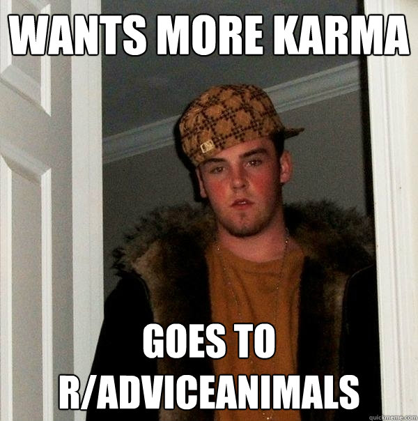 Wants More karma Goes to R/adviceanimals  Scumbag Steve