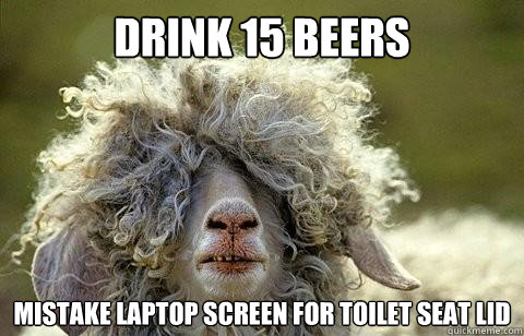 Drink 15 beers mistake laptop screen for toilet seat lid  Party Sheep