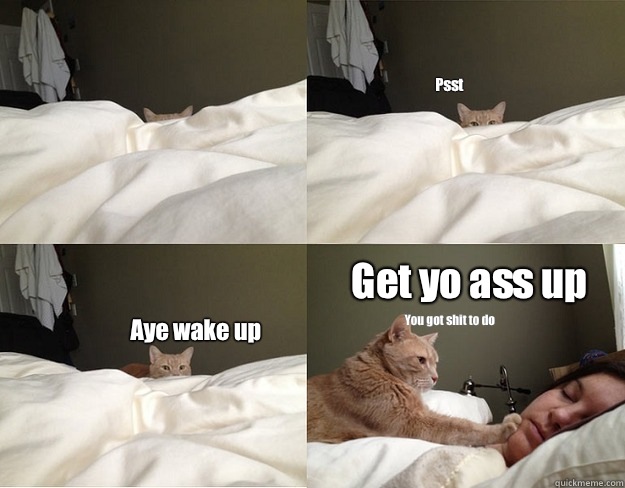 Psst Aye wake up Get yo ass up You got shit to do - Psst Aye wake up Get yo ass up You got shit to do  wake up