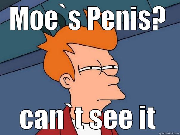 MOE`S PENIS? CAN`T SEE IT Futurama Fry