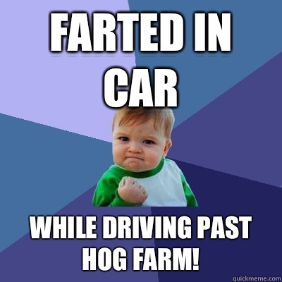 Farted in car While driving past hog farm!  Success Kid