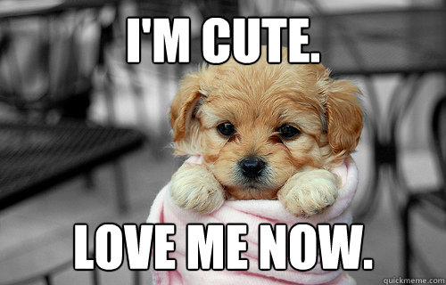 I'm cute. Love me now.  - I'm cute. Love me now.   Hehe cute