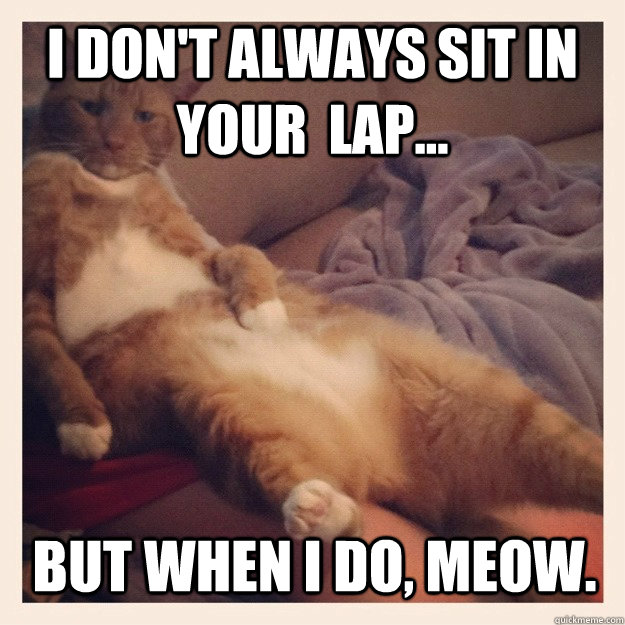 I don't always sit in your  lap... But when I do, meow.  Most interesting cat in the world
