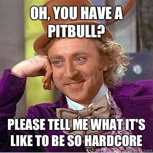 Oh, you have a pitbull? Please tell me what it's like to be so hardcore  Creepy Wonka