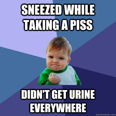 sneezed while taking a piss didn't get urine everywhere  Success Kid