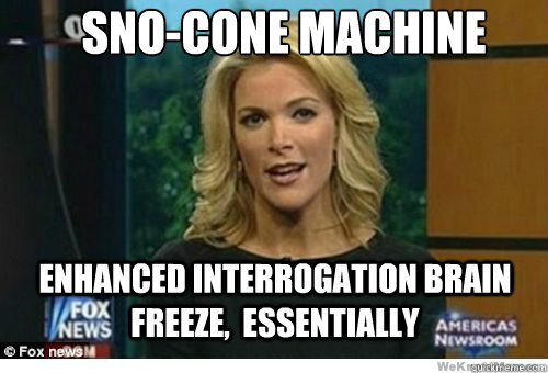 Sno-Cone Machine Enhanced Interrogation Brain Freeze,  essentially - Sno-Cone Machine Enhanced Interrogation Brain Freeze,  essentially  Megyn Kelly Soylent Green