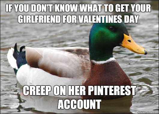 If you don't know what to get your girlfriend for valentines day Creep on her pinterest account  Actual Advice Mallard