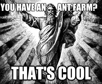 you have an       ant farm? that's cool - you have an       ant farm? that's cool  Unimpressed God