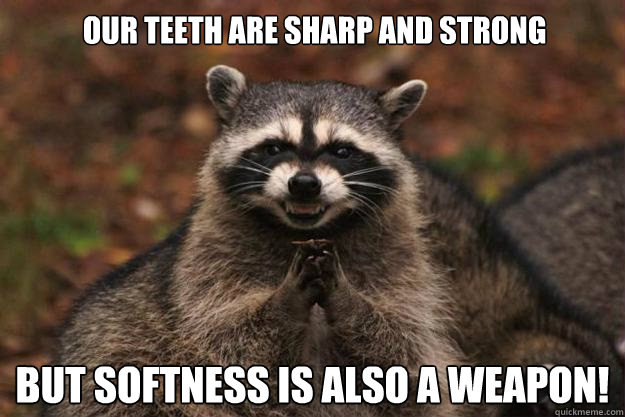 our teeth are sharp and strong but softness is also a weapon!  Evil Plotting Raccoon