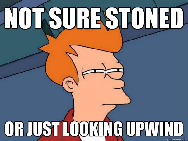 Not Sure Stoned Or just looking upwind  Futurama Fry