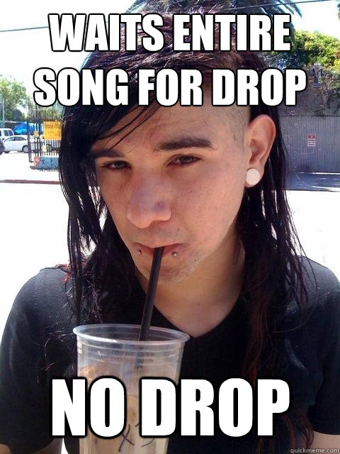 Waits Entire Song For Drop No Drop  