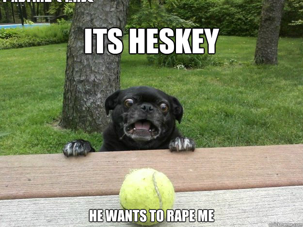 its heskey he wants to rape me Caption 3 goes here  Berks Dog