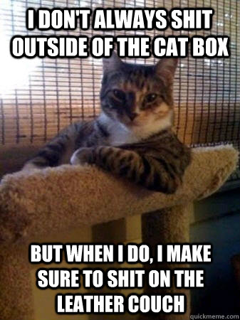 I don't always shit outside of the cat box but when I do, I make sure to shit on the leather couch  The Most Interesting Cat in the World