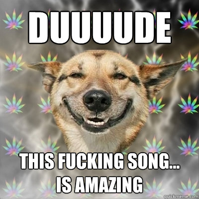 duuuude this fucking song...
is amazing  Stoner Dog