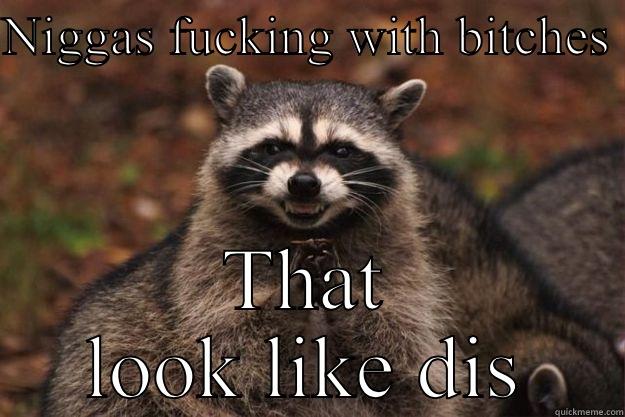 NIGGAS FUCKING WITH BITCHES  THAT LOOK LIKE DIS Evil Plotting Raccoon