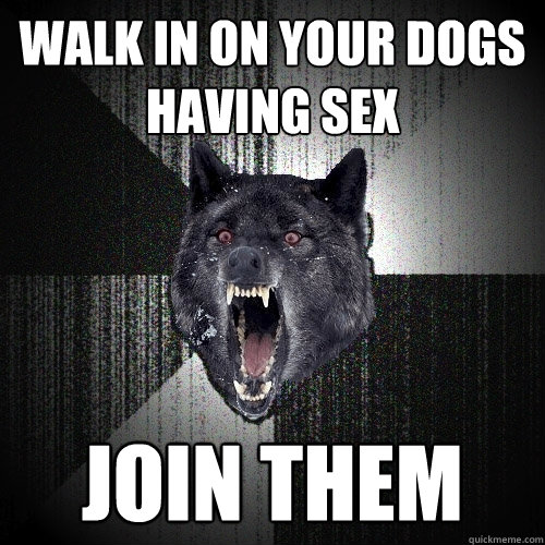 walk in on your dogs having sex join them  Insanity Wolf