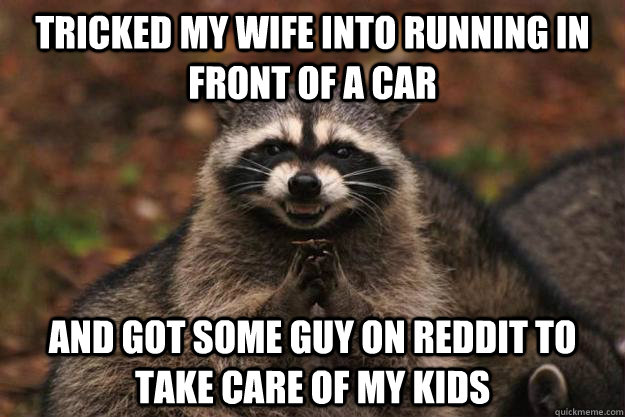 Tricked my wife into running in front of a car and got some guy on reddit to take care of my kids   Evil Plotting Raccoon