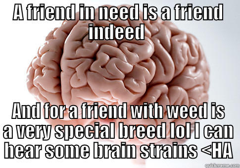 A FRIEND IN NEED IS A FRIEND INDEED  AND FOR A FRIEND WITH WEED IS A VERY SPECIAL BREED LOL I CAN HEAR SOME BRAIN STRAINS <HA Scumbag Brain