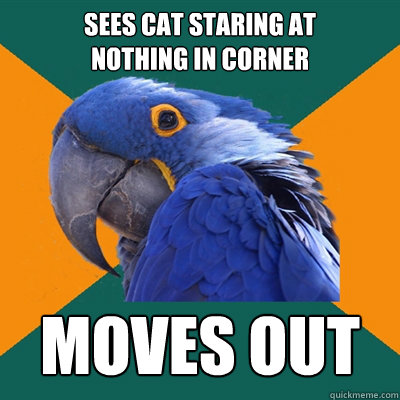 sees cat staring at
nothing in corner moves out  Paranoid Parrot