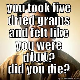 five dried - YOU TOOK FIVE DRIED GRAMS AND FELT LIKE YOU WERE DEAD? BUT DID YOU DIE? Mr Chow