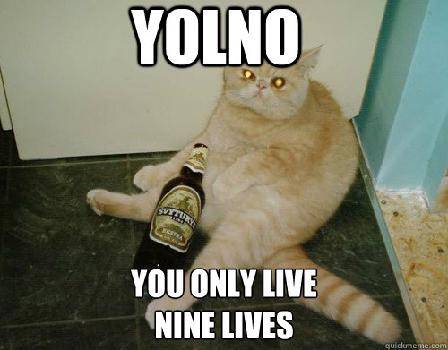 YOLNO YOU ONLY LIVE 
NINE LIVES  