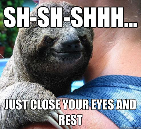 Sh-sh-shhh... Just close your eyes and rest
  Suspiciously Evil Sloth
