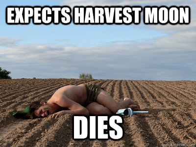 Expects Harvest Moon Dies - Expects Harvest Moon Dies  Freshman Farmer