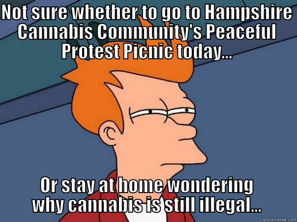 NOT SURE WHETHER TO GO TO HAMPSHIRE CANNABIS COMMUNITY'S PEACEFUL PROTEST PICNIC TODAY... OR STAY AT HOME WONDERING WHY CANNABIS IS STILL ILLEGAL... Futurama Fry