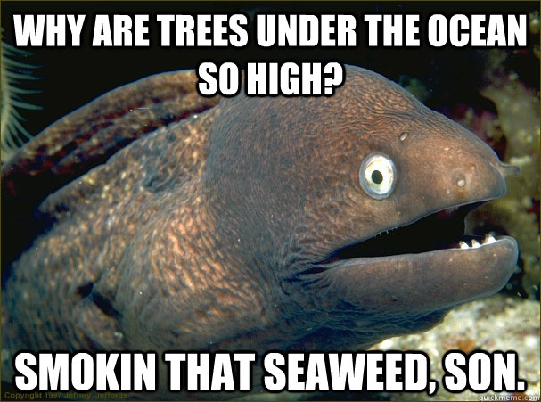 Why are trees under the ocean so high? Smokin that Seaweed, son.  Bad Joke Eel
