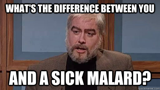 WHAT'S THE DIFFERENCE BETWEEN YOU  AND A SICK MALARD? - WHAT'S THE DIFFERENCE BETWEEN YOU  AND A SICK MALARD?  SNL Sean Connery