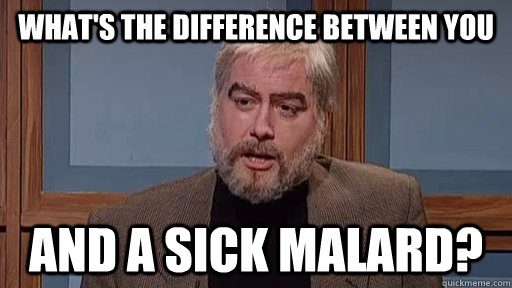 WHAT'S THE DIFFERENCE BETWEEN YOU  AND A SICK MALARD?  SNL Sean Connery