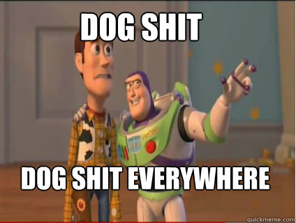 Dog shit dog shit everywhere - Dog shit dog shit everywhere  woody and buzz