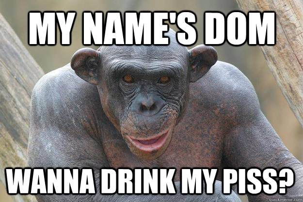 My Name's Dom wanna drink my piss?  The Most Interesting Chimp In The World