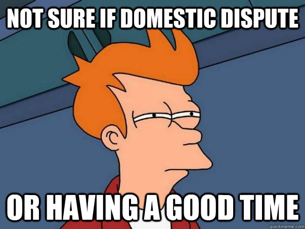 Not sure if domestic dispute  or having a good time   