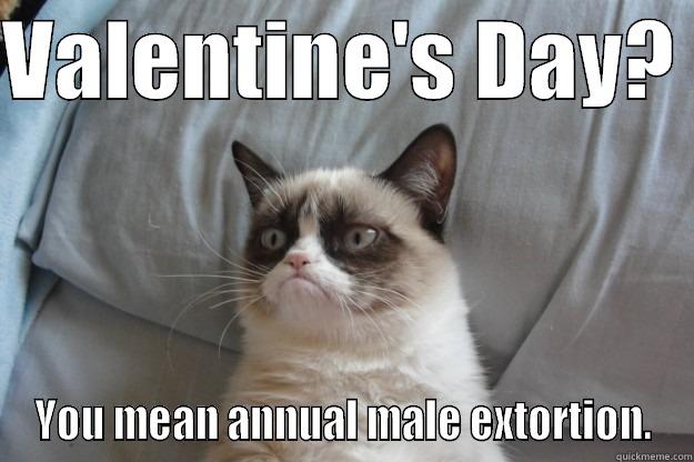 Happy Male Extortion Day! - VALENTINE'S DAY?  YOU MEAN ANNUAL MALE EXTORTION. Grumpy Cat