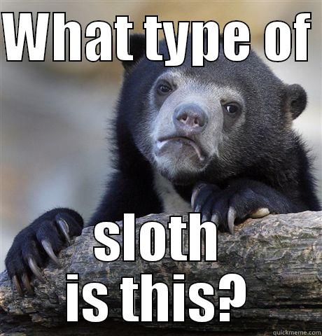 WHAT TYPE OF  SLOTH IS THIS? Confession Bear