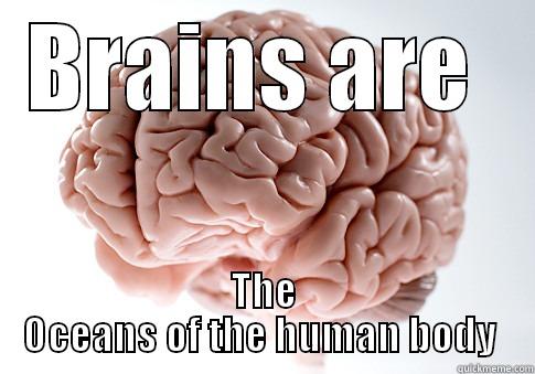 BRAINS ARE  THE OCEANS OF THE HUMAN BODY  Scumbag Brain