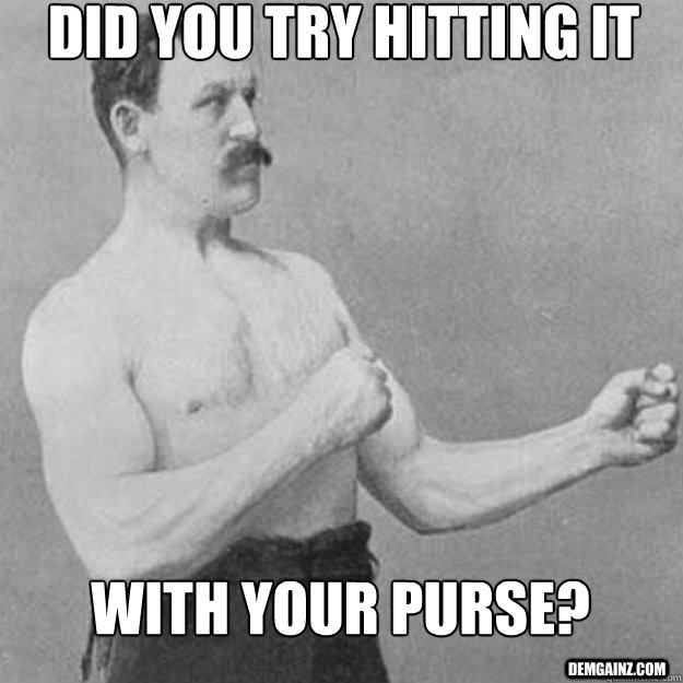 did you try hitting it with your purse? demgainz.com - did you try hitting it with your purse? demgainz.com  overly manly man