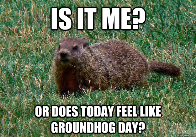 Is it me? Or does today feel like Groundhog Day?  Groundhog Day