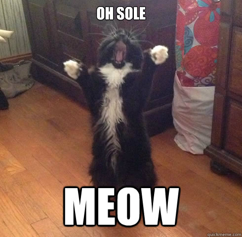 OH Sole Meow - OH Sole Meow  Opera Cat