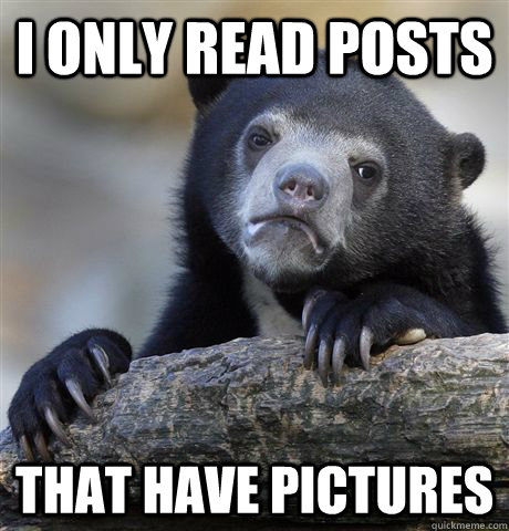 i only read posts that have pictures - i only read posts that have pictures  Confession Bear