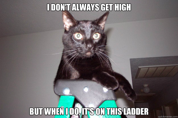 I Don't Always Get High But When I Do, It's On This Ladder  Oscar